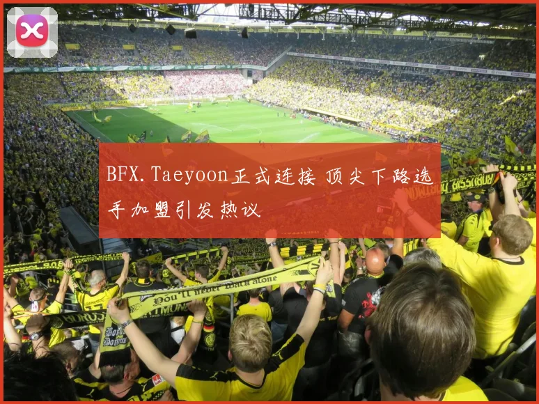 BFX.Taeyoon正式连接 顶尖下路选手加盟引发热议