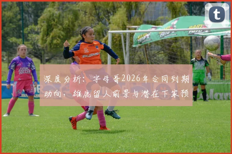 深度分析：字母哥2026年合同到期动向，雄鹿留人前景与潜在下家预测