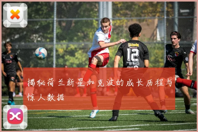 揭秘荷兰新星加克波的成长历程与惊人数据