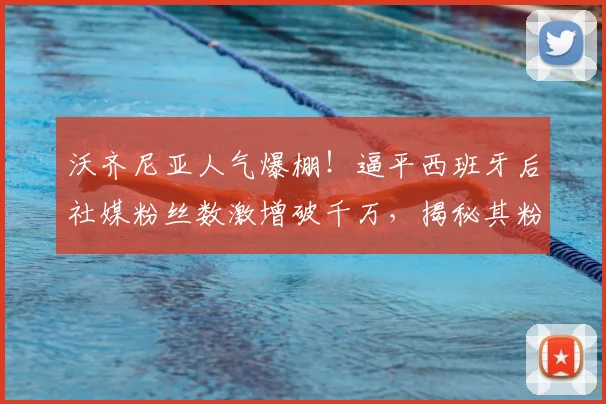 沃齐尼亚人气爆棚！逼平西班牙后社媒粉丝数激增破千万，揭秘其粉丝暴涨原因与球场影响力