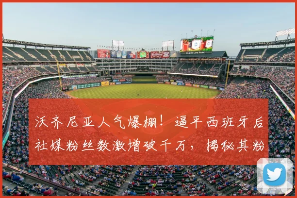 沃齐尼亚人气爆棚！逼平西班牙后社媒粉丝数激增破千万，揭秘其粉丝暴涨原因与球场影响力