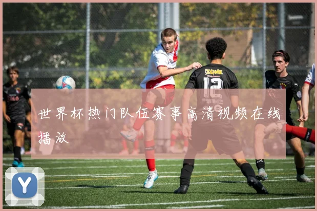 世界杯热门队伍赛事高清视频在线播放